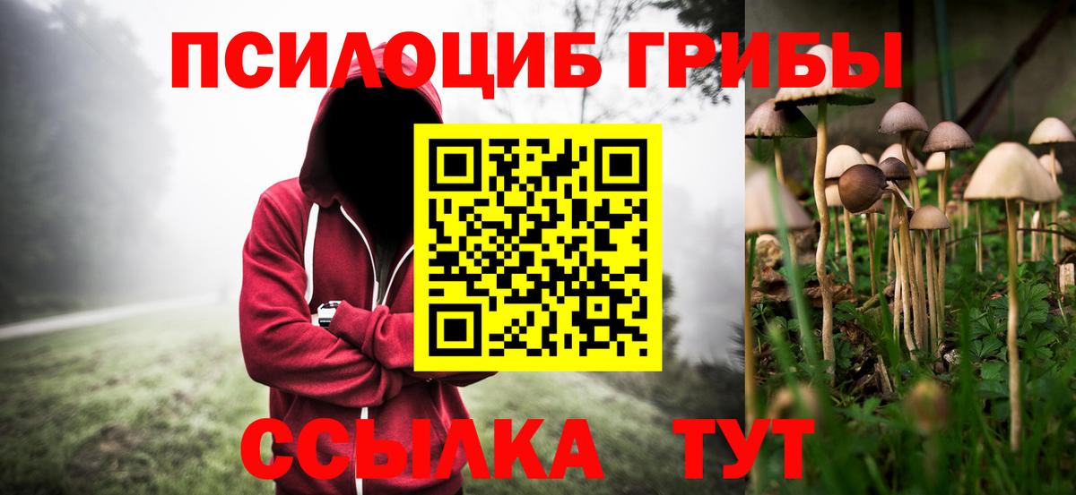 Галлюциногенные грибы Cubensis Абакан